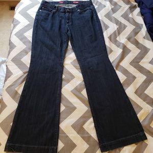 Express Eva fit and flare jeans